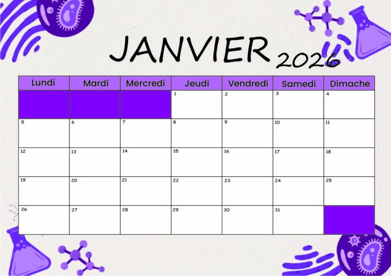 Modèle 5 Janvier 2026