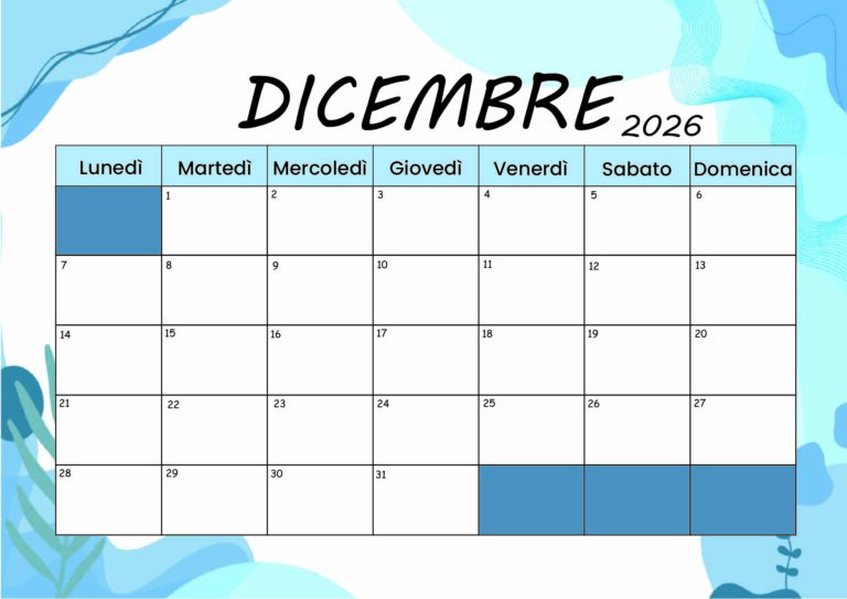 Modello 1 Dicembre 2026