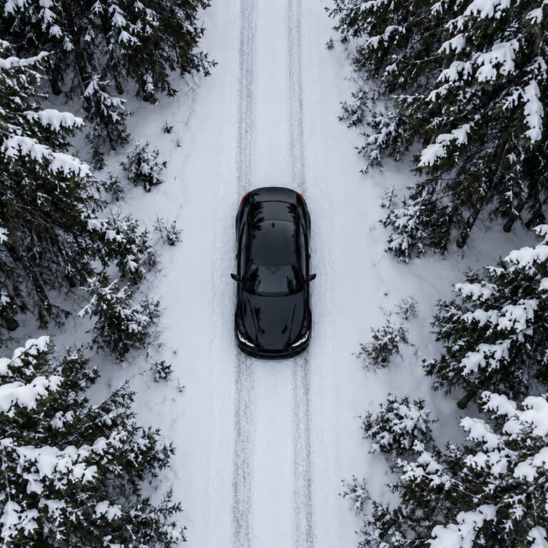 Fondos de pantalla bmw m4 bosque nevado